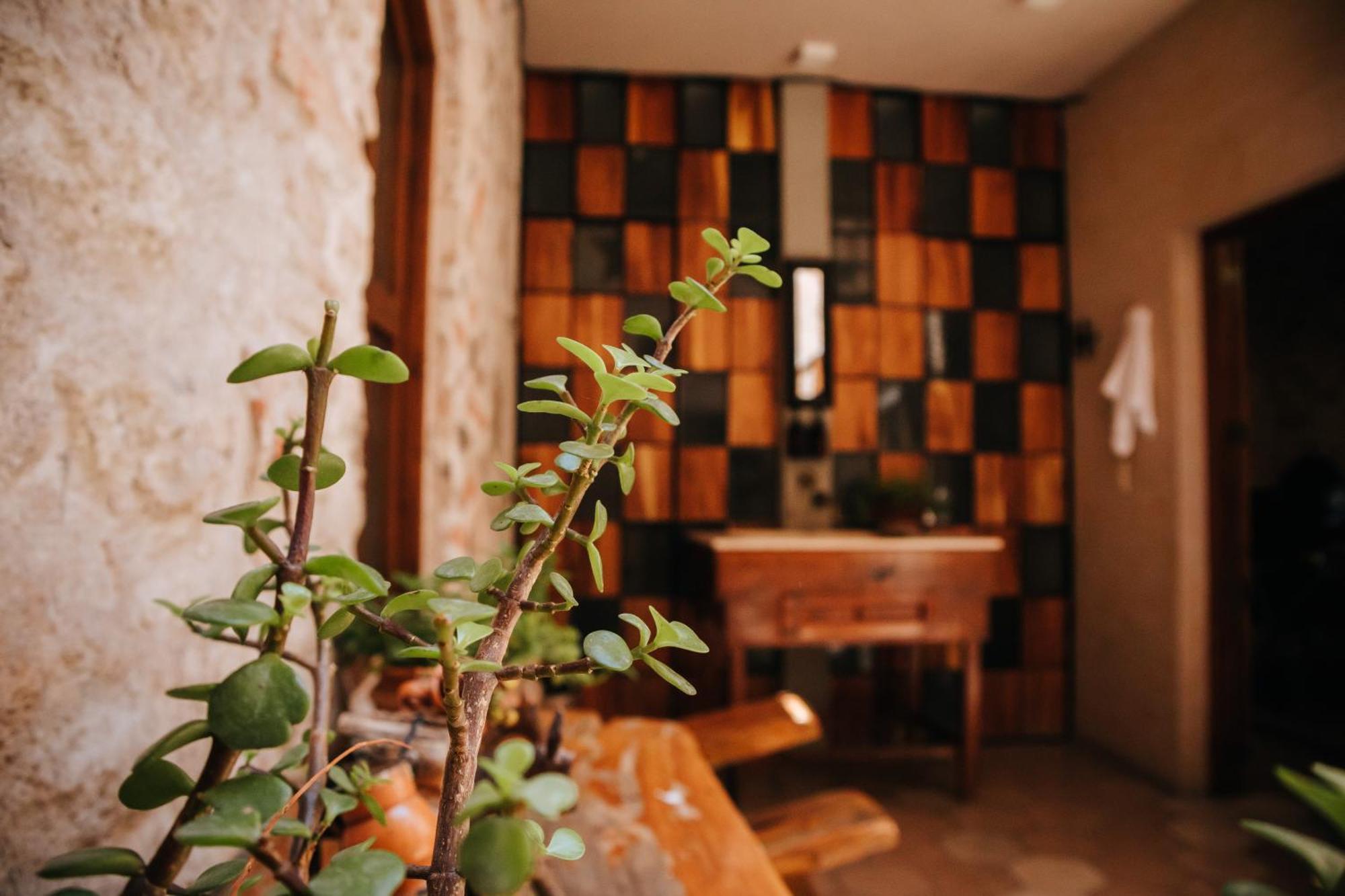 Hotel Casa 88 سان ميغيل دي الليندي المظهر الخارجي الصورة